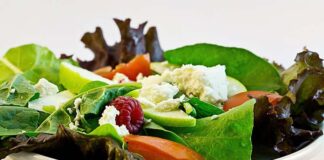 Experimental Stem Cell Injection Reverses Osteoporosis in Mice