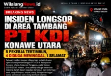 Insiden Longsor di Area Tambang PT KDI Konawe Utara: 5 Pekerja Tertimbun, 4 Diduga Meninggal, 1 Selamat