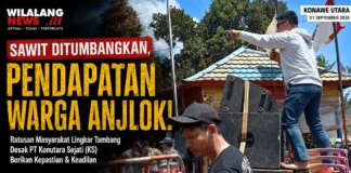 Sawit Ditumbangkan, Pendapatan Warga Anjlok: Masyarakat Lingkar Tambang Desak CNGR Group Beri Kepastian