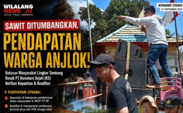 Sawit Ditumbangkan, Pendapatan Warga Anjlok: Masyarakat Lingkar Tambang Desak CNGR Group Beri Kepastian